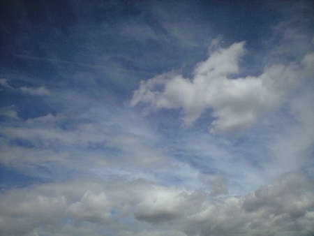 ファイル 1002-1.jpg