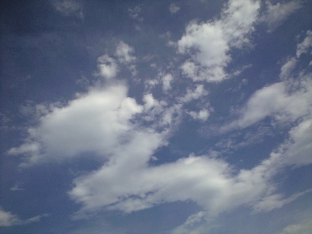 ファイル 1028-1.jpg