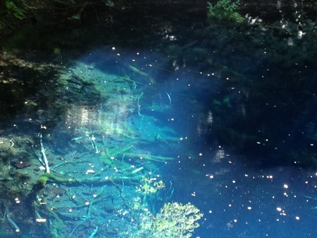 ファイル 1060-1.jpg