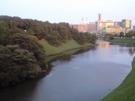 ファイル 1072-1.jpg