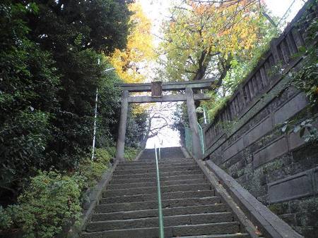 ファイル 1114-1.jpg