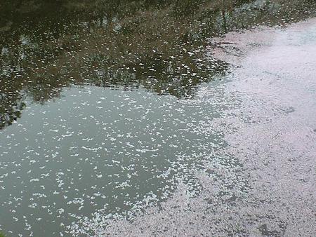 ファイル 1163-1.jpg