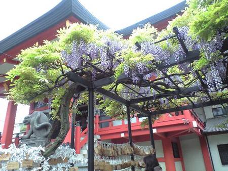 ファイル 1180-1.jpg