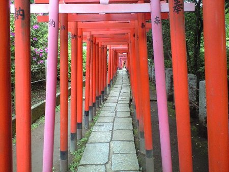 ファイル 1181-1.jpg