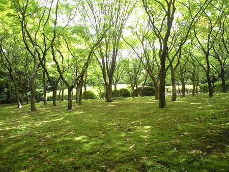 ファイル 1219-1.jpg