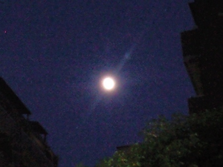 ファイル 1227-1.jpg