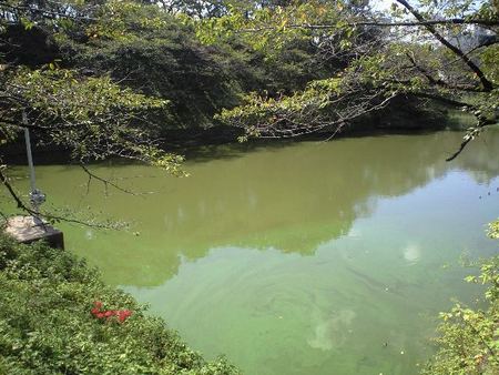 ファイル 1248-1.jpg