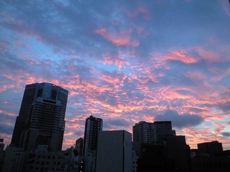 ファイル 1258-1.jpg