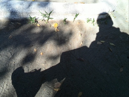 ファイル 1272-1.jpg