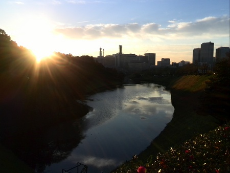 ファイル 1282-1.jpg