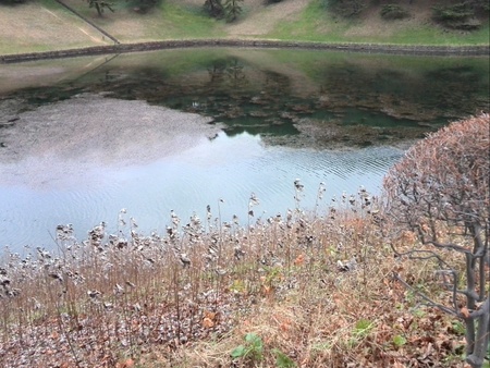 ファイル 1305-1.jpg