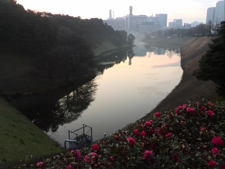 ファイル 1316-1.jpg