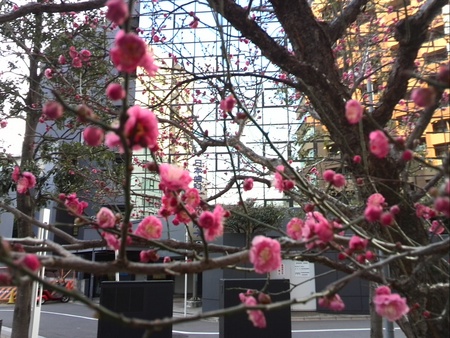 ファイル 1318-1.jpg