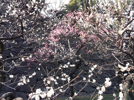 ファイル 1336-1.jpg