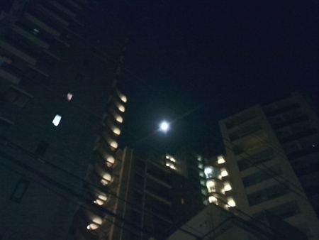 ファイル 1344-1.jpg