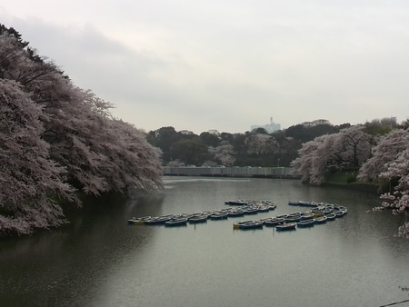 ファイル 1355-1.jpg