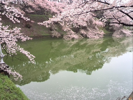 ファイル 1362-1.jpg