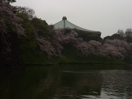 ファイル 1368-1.jpg