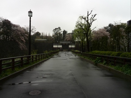 ファイル 1369-1.jpg