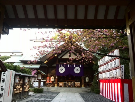 ファイル 1382-1.jpg