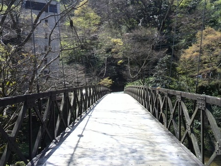 ファイル 1383-1.jpg