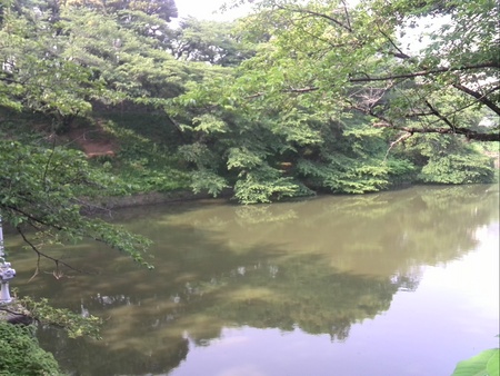 ファイル 1403-1.jpg