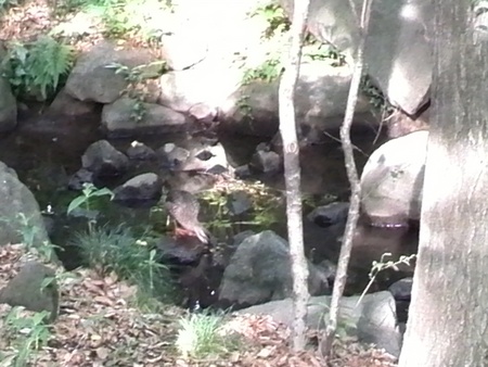 ファイル 1410-2.jpg