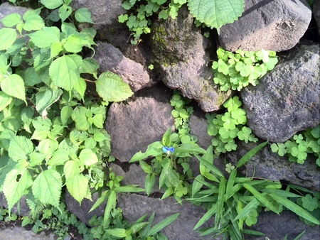 ファイル 1410-3.jpg