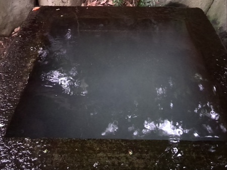 ファイル 1419-1.jpg