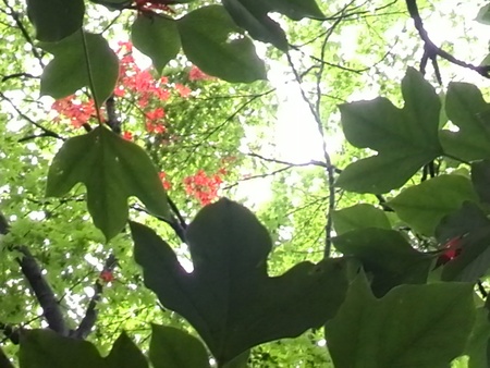 ファイル 1434-3.jpg