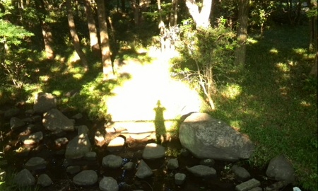 ファイル 1437-1.jpg