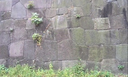 ファイル 1487-1.jpg