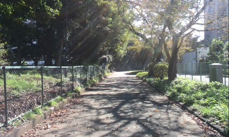 ファイル 1494-2.jpg