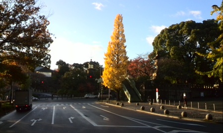 ファイル 1504-1.jpg