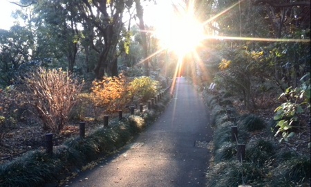 ファイル 1531-1.jpg