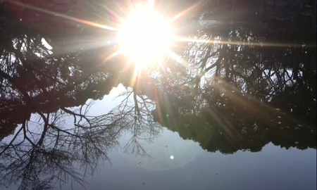 ファイル 1532-1.jpg