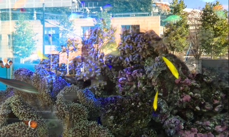 ファイル 1546-2.jpg