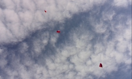 ファイル 1567-3.jpg