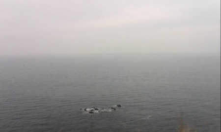 ファイル 1585-1.jpg