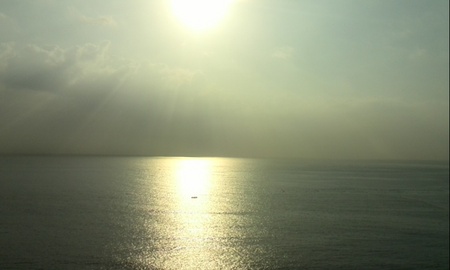 ファイル 1590-1.jpg