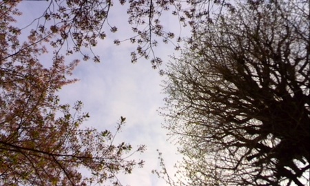 ファイル 1609-1.jpg