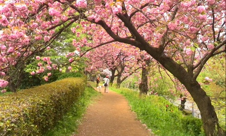 ファイル 1614-1.jpg