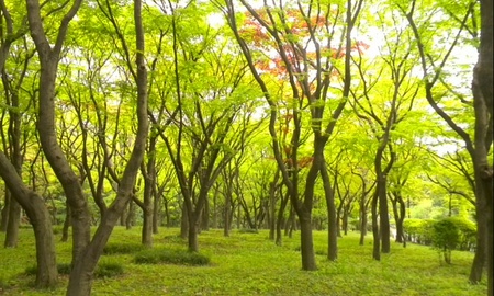 ファイル 1614-2.jpg