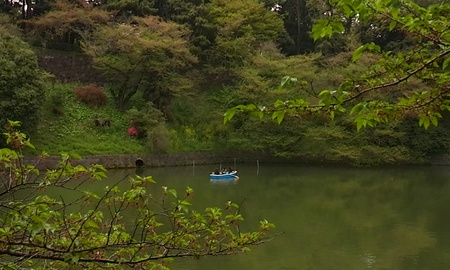 ファイル 1615-1.jpg