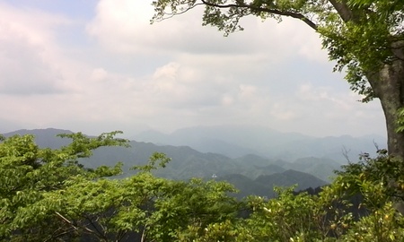 ファイル 1630-2.jpg