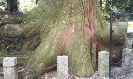 ファイル 1632-3.jpg