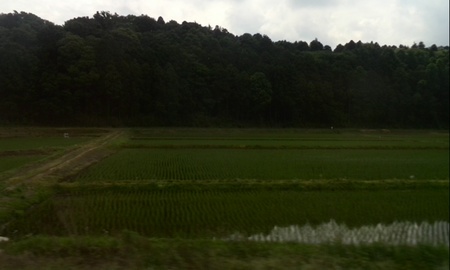 ファイル 1635-1.jpg