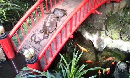 ファイル 1637-1.jpg