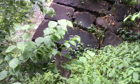 ファイル 1656-3.jpg