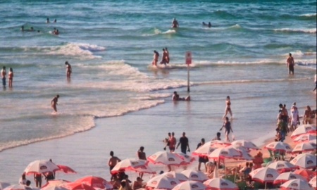 ファイル 1679-1.jpg